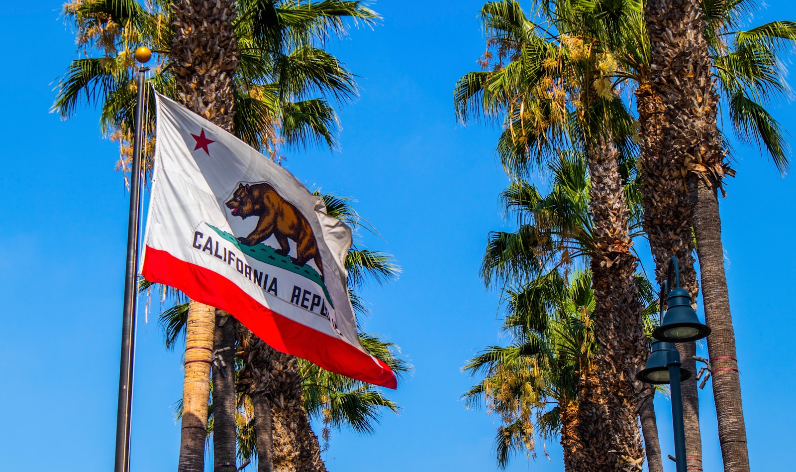 a flag flying in the air next to palm trees